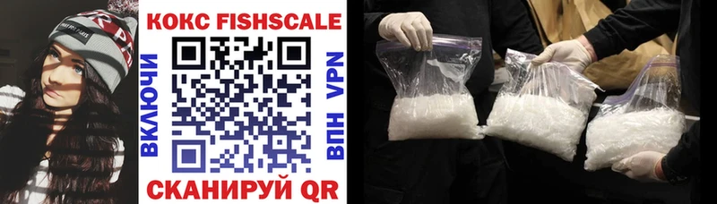 Cocaine Fish Scale  продажа наркотиков  Вольск 