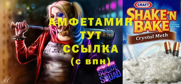 индика Балабаново