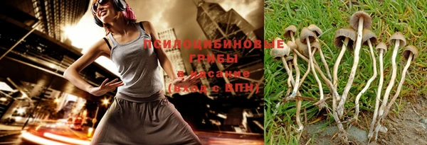 индика Балабаново