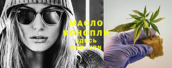 индика Балабаново