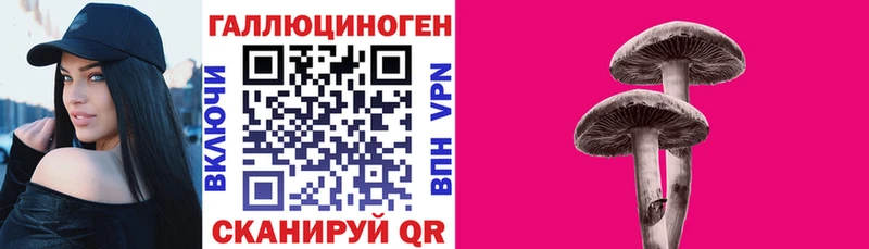наркотики  Вольск  гидра вход  Псилоцибиновые грибы мицелий 