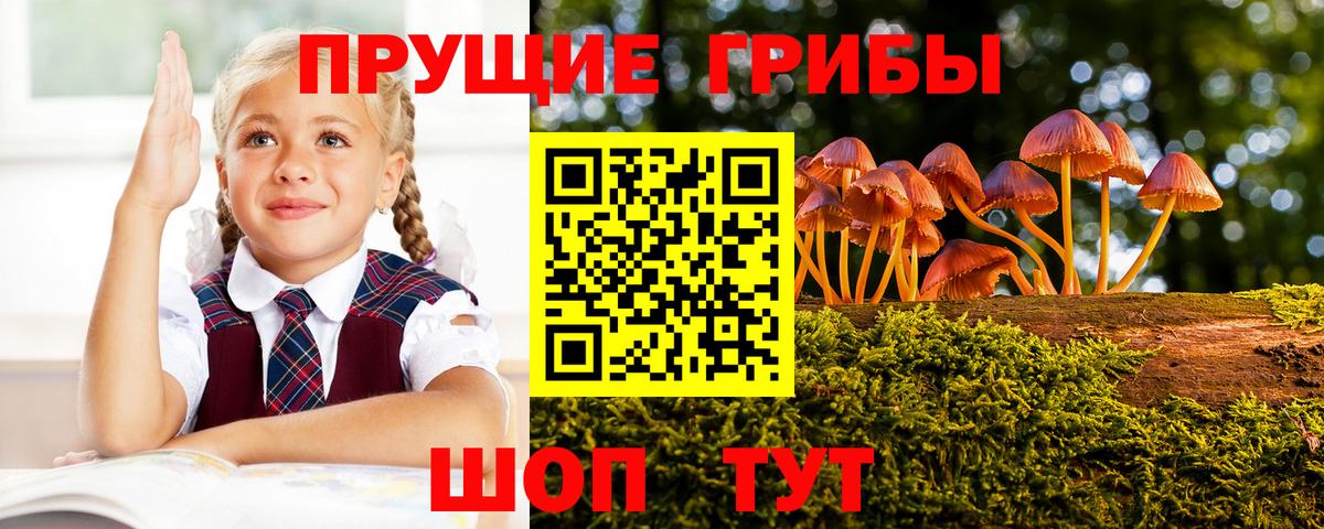 Псилоцибиновые грибы прущие грибы  Псилоцибиновые грибы прущие грибы  Вольск  Вход с VPN 