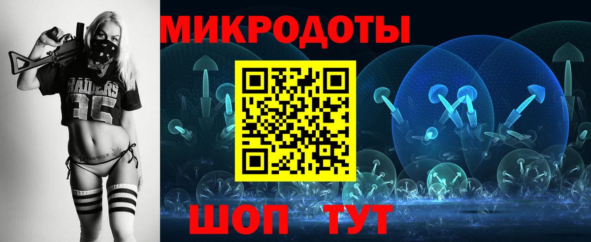 Галлюциногенные грибы Psilocybe Вольск